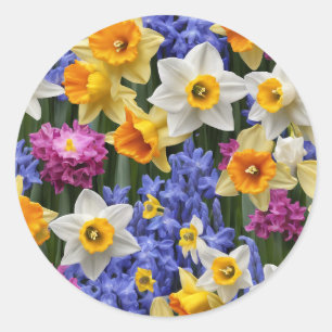 Pegatina Redonda Spring Daffodils Bonito Floral