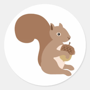Pegatina Redonda Squirrels Acorn