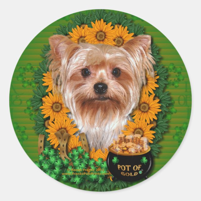 Pegatina Redonda St Patricks - Oro - Yorkshire Terrier (Anverso)