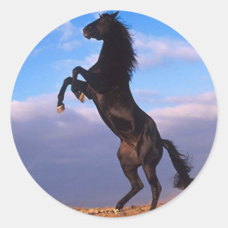 Pegatina Redonda Stallion negro