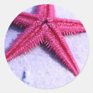 Pegatina Redonda Starfish