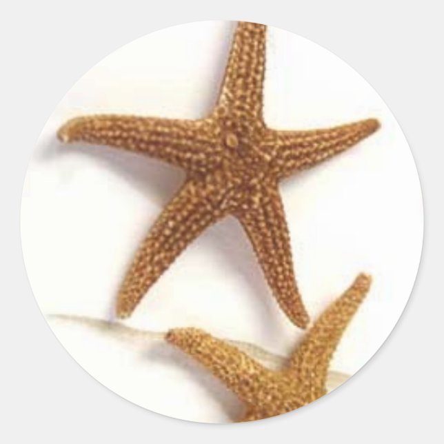 Pegatina Redonda Starfish (Anverso)