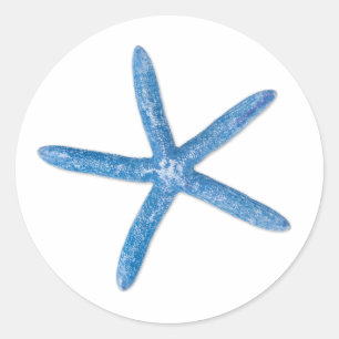 Pegatina Redonda Starfish azul