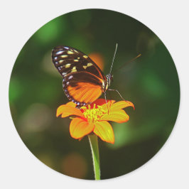 Pegatina Redonda Sticker