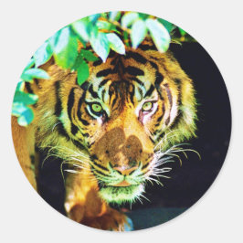 Pegatina Redonda Sticker