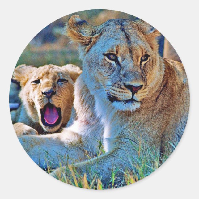 Pegatina Redonda Sticker (Anverso)