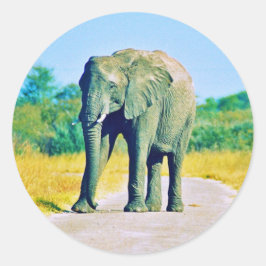 Pegatina Redonda Sticker