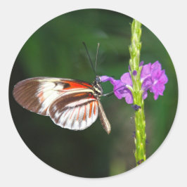 Pegatina Redonda Sticker