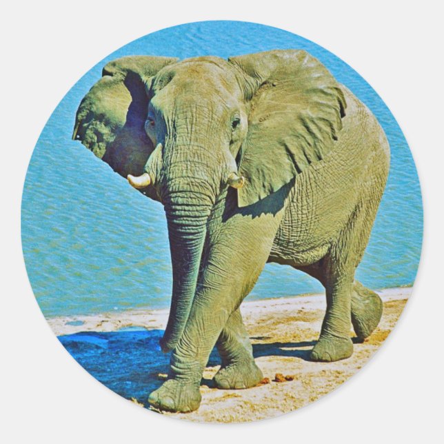 Pegatina Redonda Sticker (Anverso)