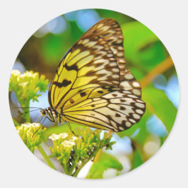 Pegatina Redonda Sticker