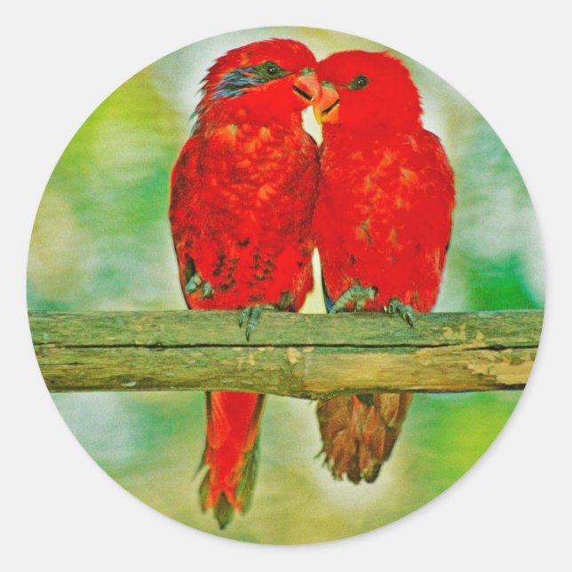 Pegatina Redonda Sticker (Anverso)