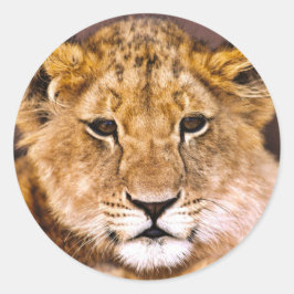 Pegatina Redonda Sticker