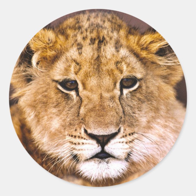 Pegatina Redonda Sticker (Anverso)