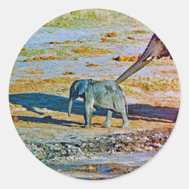 Pegatina Redonda Sticker (Anverso)