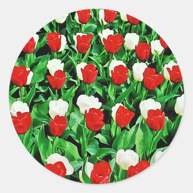 Pegatina Redonda Sticker (Anverso)