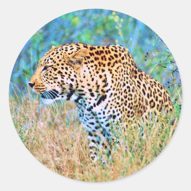 Pegatina Redonda Sticker (Anverso)