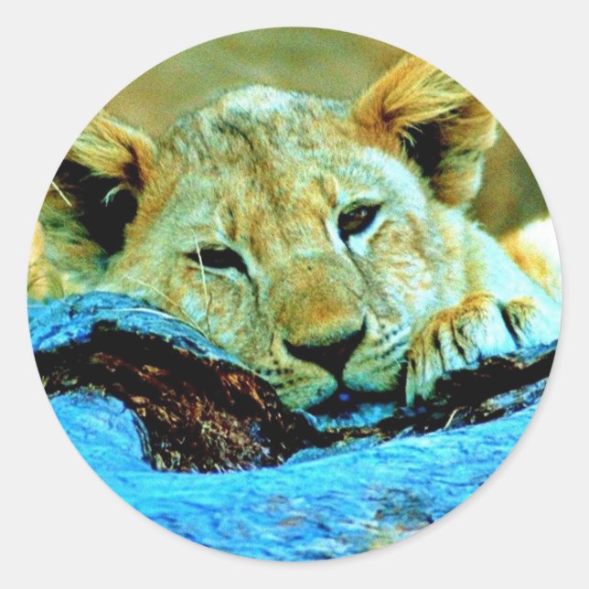 Pegatina Redonda Sticker (Anverso)