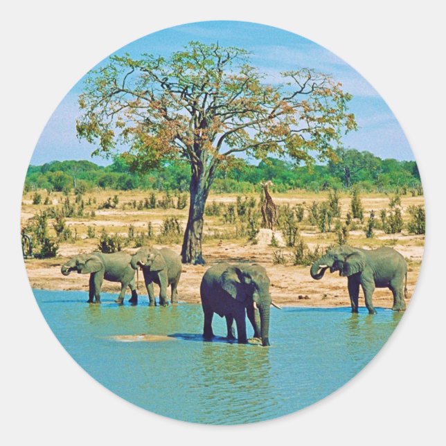 Pegatina Redonda Sticker (Anverso)