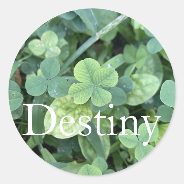 Pegatina Redonda Sticker Destiny  (Anverso)