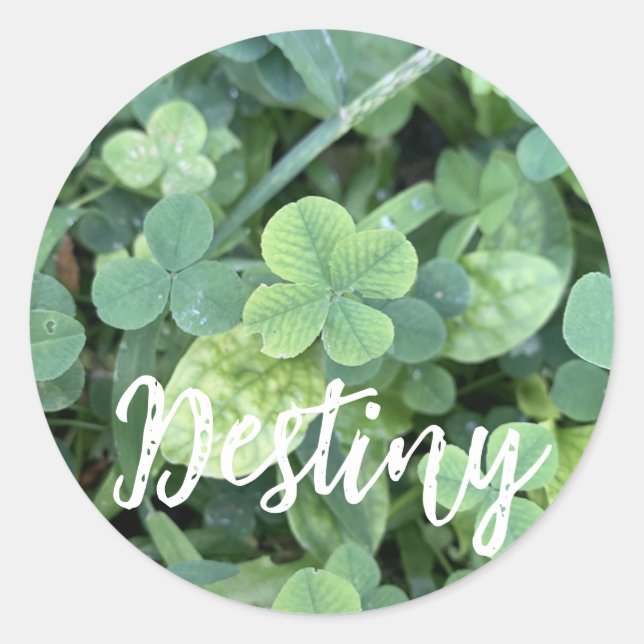 Pegatina Redonda Sticker Destiny  (Anverso)