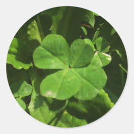 Pegatina Redonda Sticker Porte-bonheur