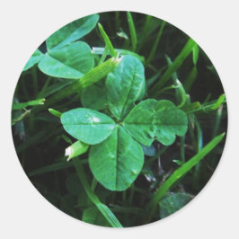 Pegatina Redonda Sticker Porte-bonheur