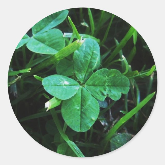 Pegatina Redonda Sticker Porte-bonheur (Anverso)