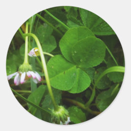 Pegatina Redonda Sticker Porte-bonheur - Lucky Charm