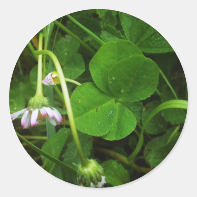 Pegatina Redonda Sticker Porte-bonheur - Lucky Charm (Anverso)