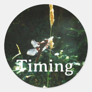 Pegatina Redonda Sticker Timing