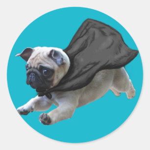 Pegatina Redonda Sticky Pugs