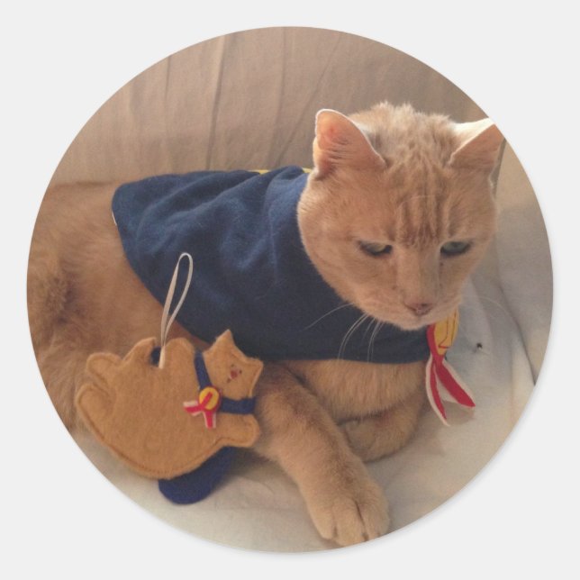 Pegatina Redonda ¡Stinky con su adorno! (Anverso)