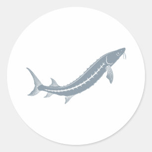 Pegatina Redonda Sturgeon Fish