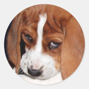 Pegatina Redonda Su imagen aquí