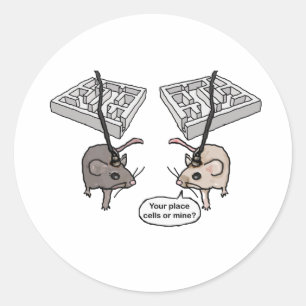 Pegatina Redonda ¿Su lugar (células) o el mío?