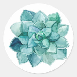 Pegatina Redonda Suculento en acuarela