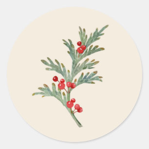Pegatina Redonda Sucursal Juniper de Navidades de acuarela con baya