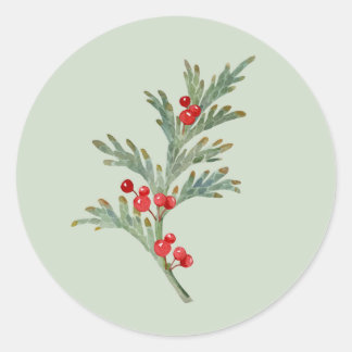 Pegatina Redonda Sucursal Juniper de Navidades de acuarela con baya