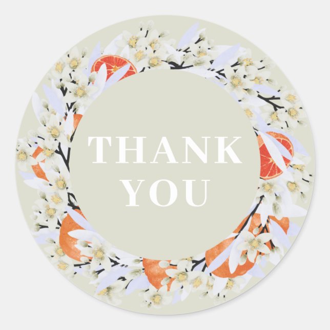 Pegatina Redonda Sucursales de crecimiento de cítricos de mandarina (Anverso)