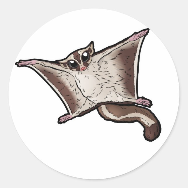 Pegatina Redonda Sugar Glider (Anverso)