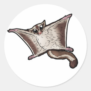 Pegatina Redonda Sugar Glider