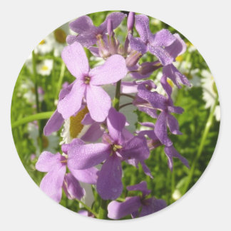 Pegatina Redonda Summer Lilac y Daisies