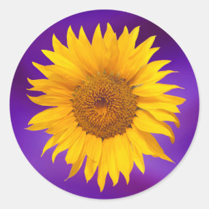 Pegatina Redonda Sunflower Elegant Purple Wedding Favor