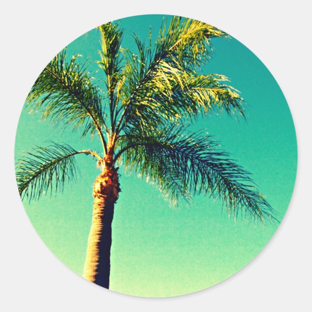 Pegatina Redonda Sunny Florida Palm Tree Sky Picture (Anverso)