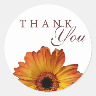Pegatina Redonda Sunny Naranja gerbera daisy flower gracias