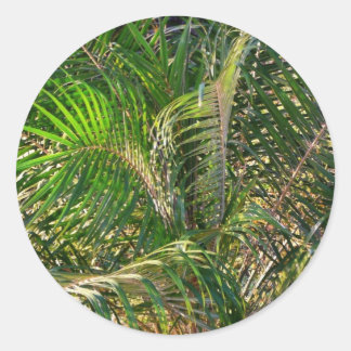Pegatina Redonda Sunset Lit Palm Fronds Tropical