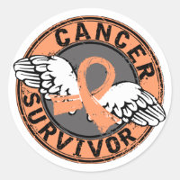 Superviviente 14 Cáncer endometrial