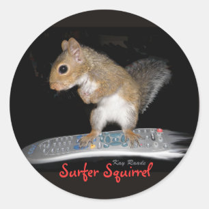 Pegatina Redonda Surfer Squirrel