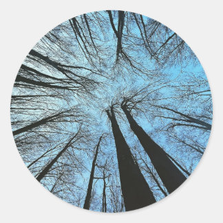 Pegatina Redonda Susurros del bosque de susurros