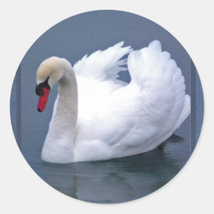 PEGATINA REDONDA SWAN ELEGANCE
